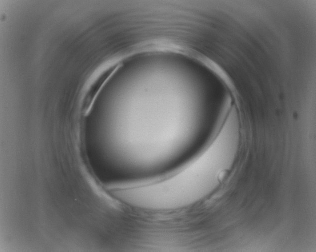 X0000062841144200601130934