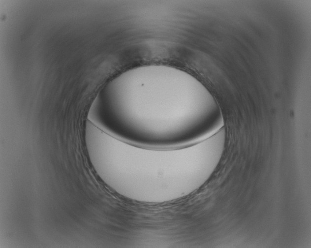 X0000062841153200601130933