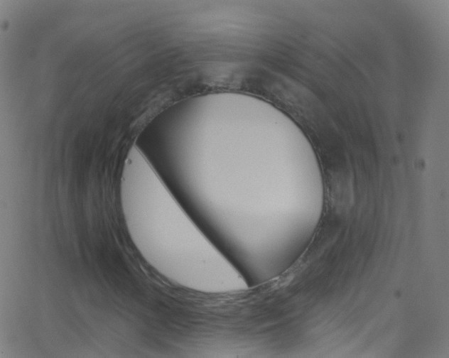 X0000062841154200601130933