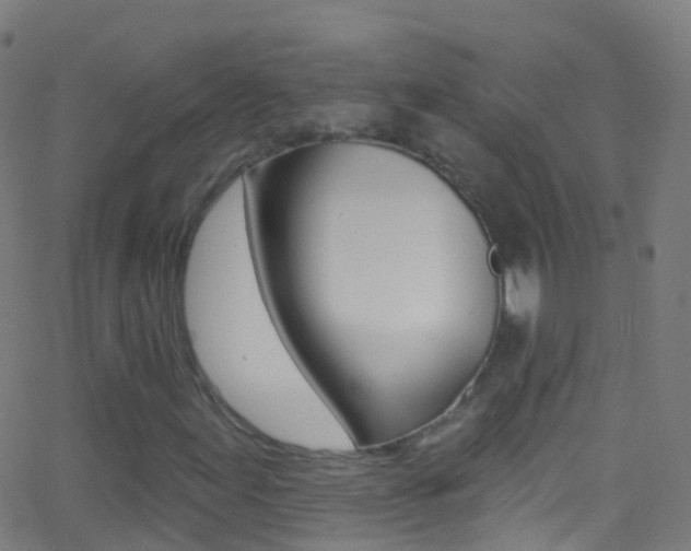 X0000062841155200601130933