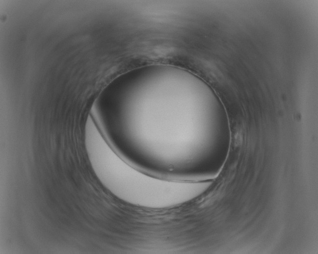 X0000062841156200601130933