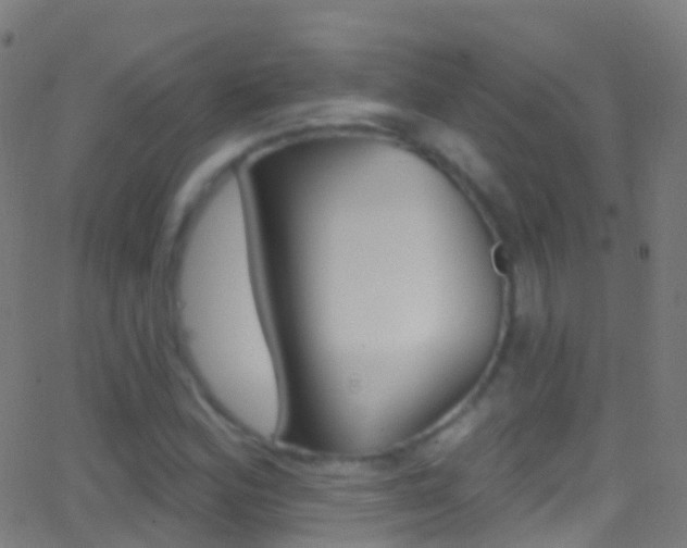 X0000062841164200601130933