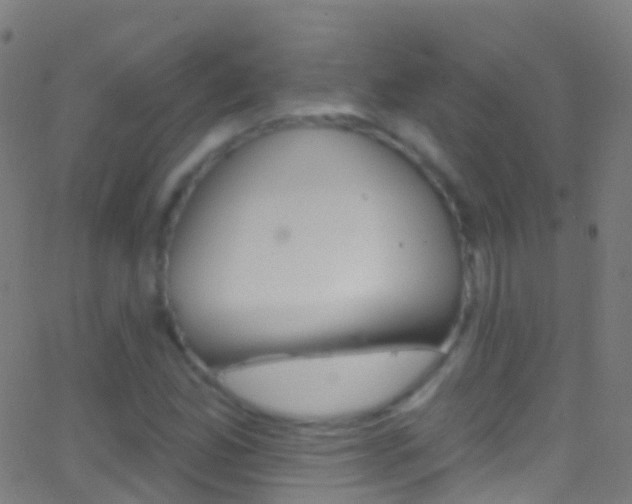 X0000062841165200601130933