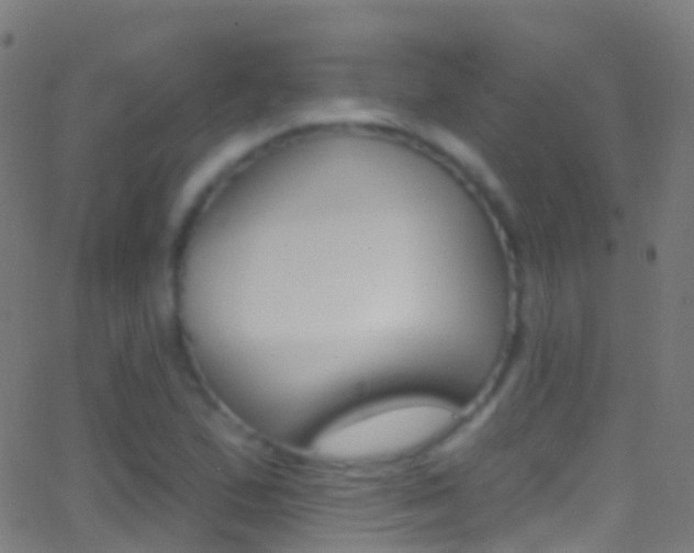 X0000062841167200601130933