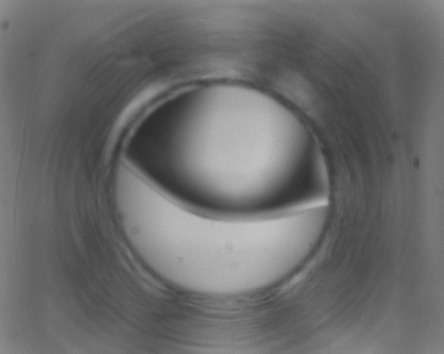 X0000062841172200601130933