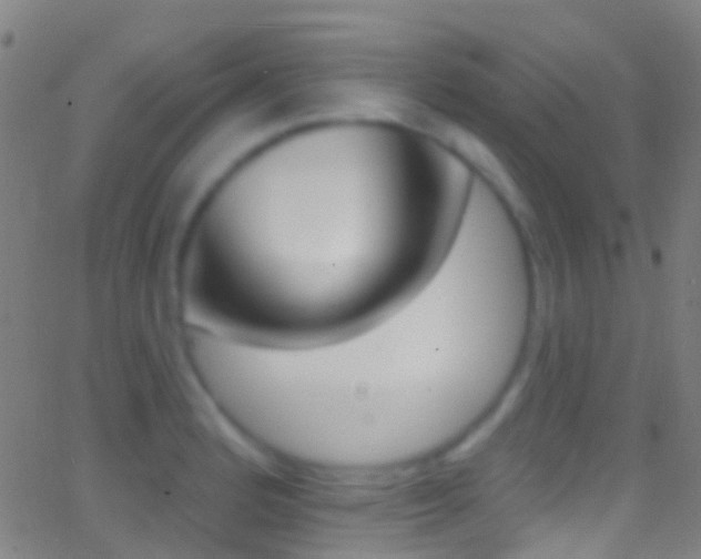 X0000062841184200601130932