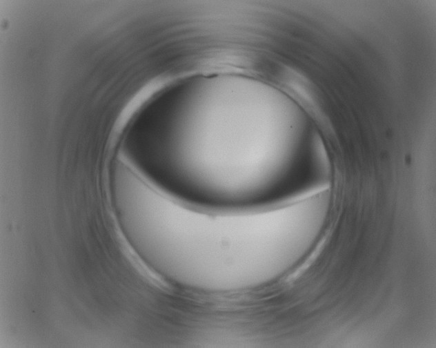 X0000062841196200601130932