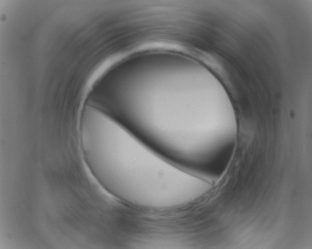X0000062841199200601130932