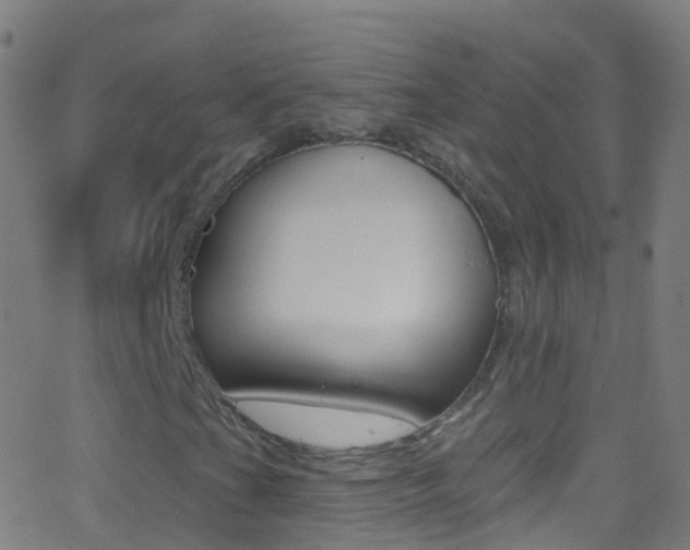 X0000062841201200601130931