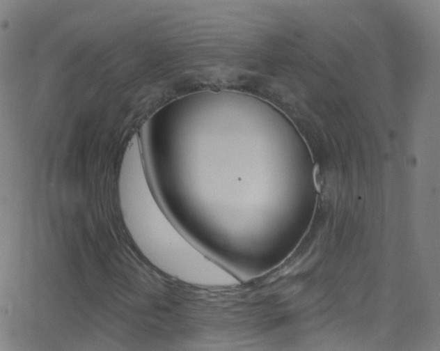 X0000062841202200601130931
