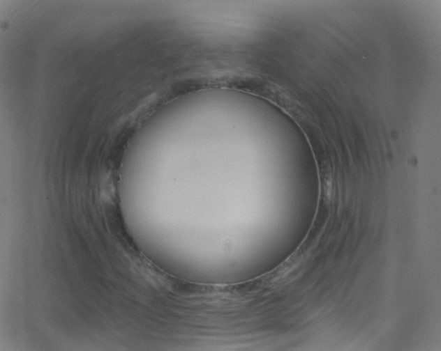 X0000062841204200601130931