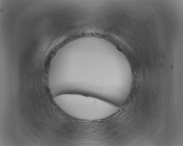 X0000062841207200601130931