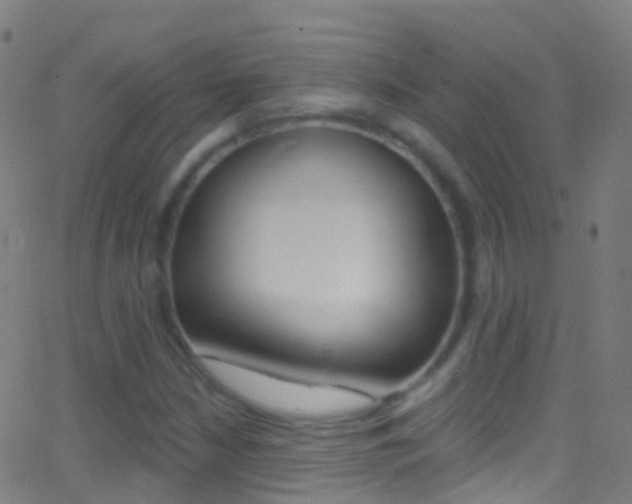 X0000062841210200601130931