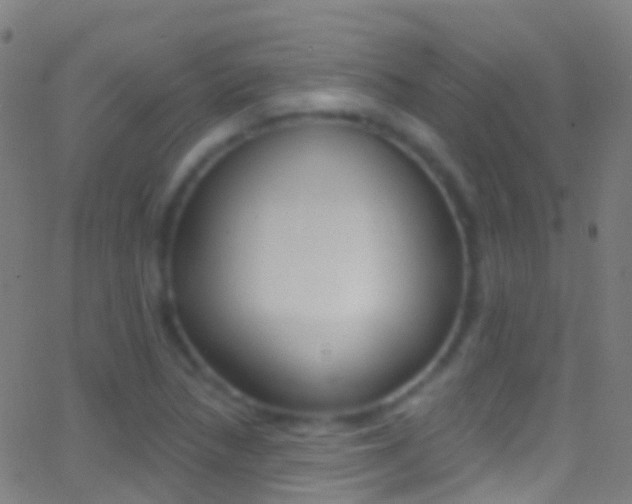 X0000062841218200601130931