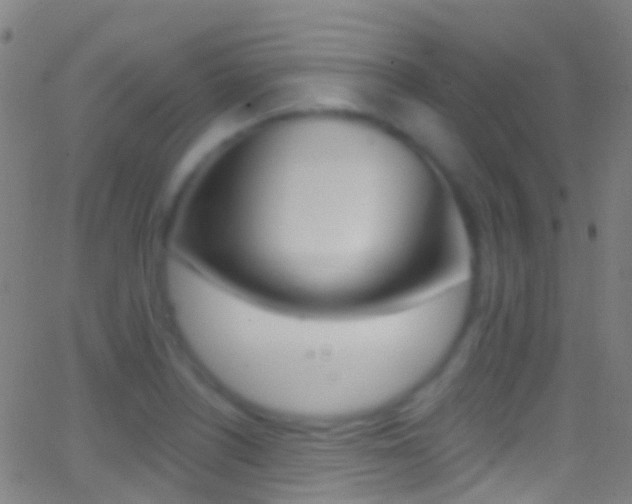 X0000062841226200601130932