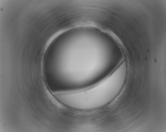 X0000062841246200601130932