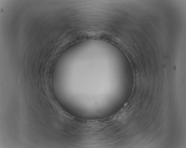 X0000062841249200601130931