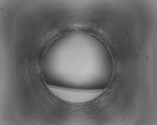 X0000062841253200601130931