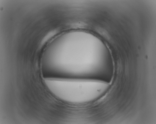 X0000062841261200601130931