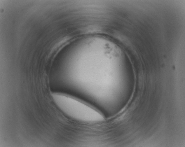 X0000062841265200601130931