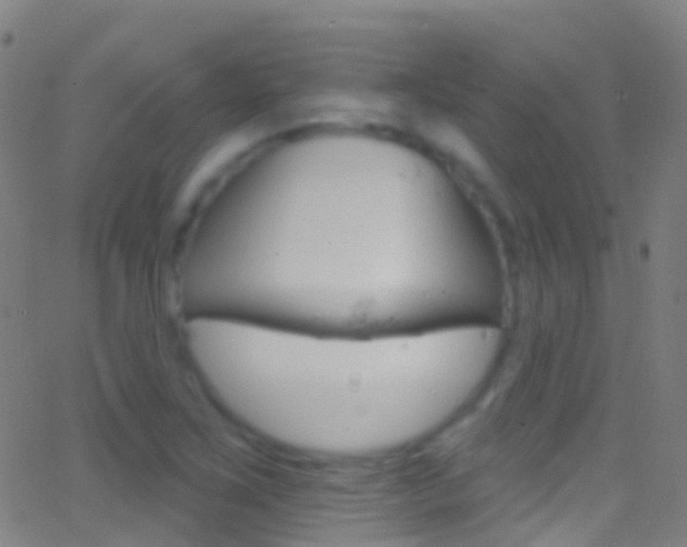 X0000062841267200601130931