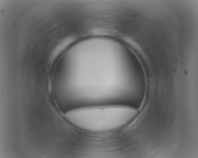 X0000062841269200601130931