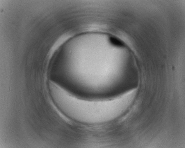 X0000062841285200601130931