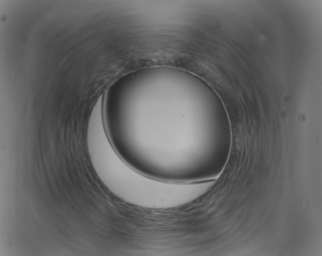 X0000062841298200601130930