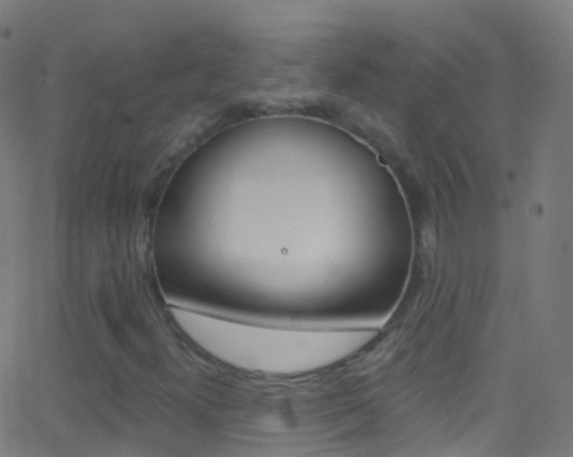 X0000062841300200601130930