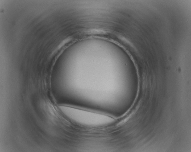 X0000062841305200601130930