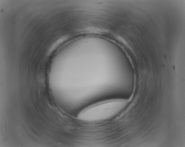 X0000062841307200601130930