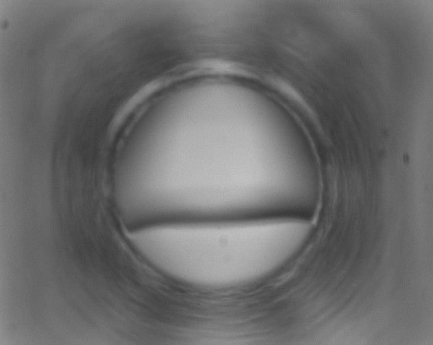 X0000062841318200601130930
