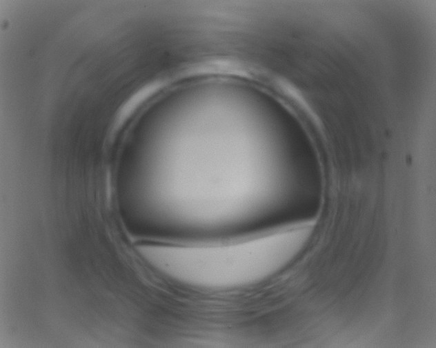 X0000062841320200601130930