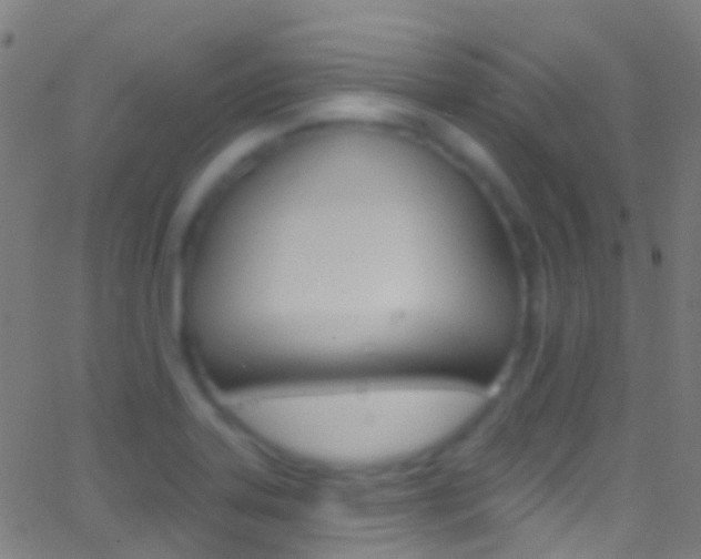 X0000062841323200601130930