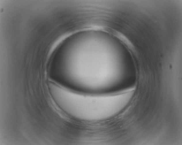 X0000062841332200601130930