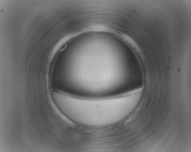 X0000062841334200601130930