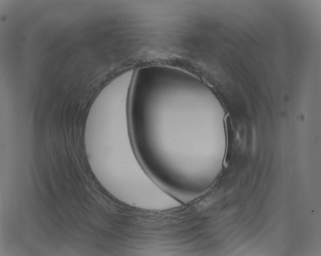 X0000062841348200601130929