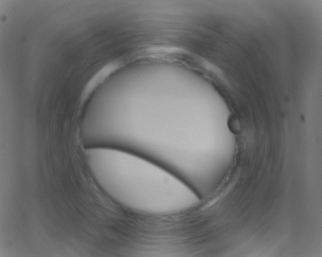 X0000062841362200601130929