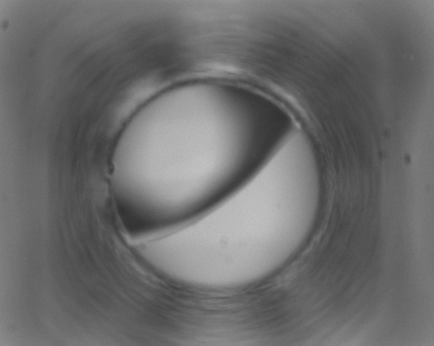 X0000062841363200601130929