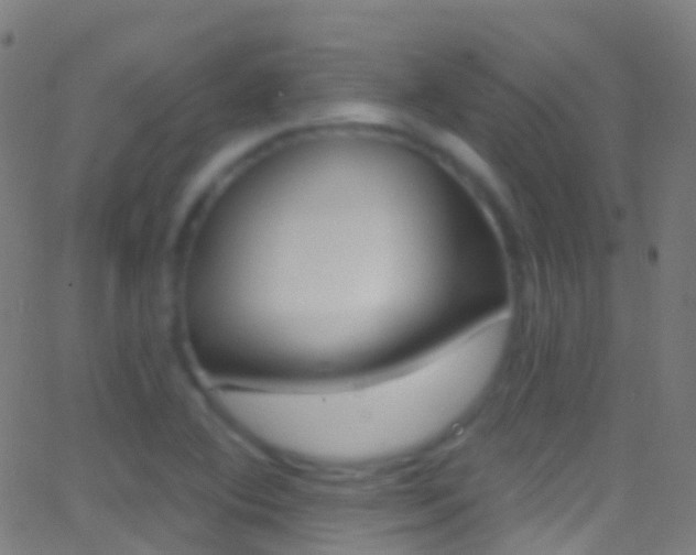 X0000062841364200601130929