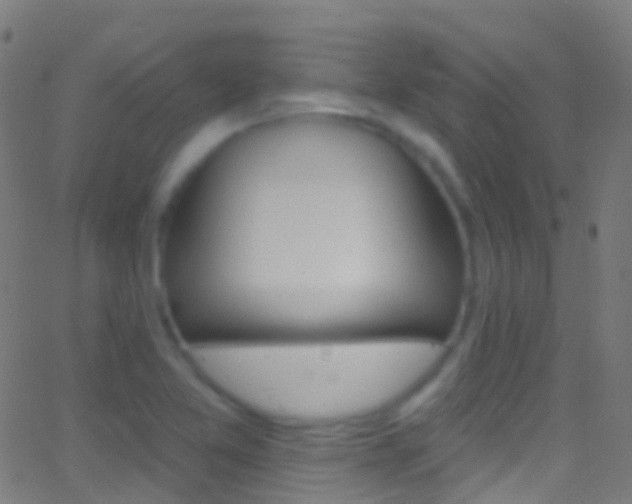 X0000062841365200601130929