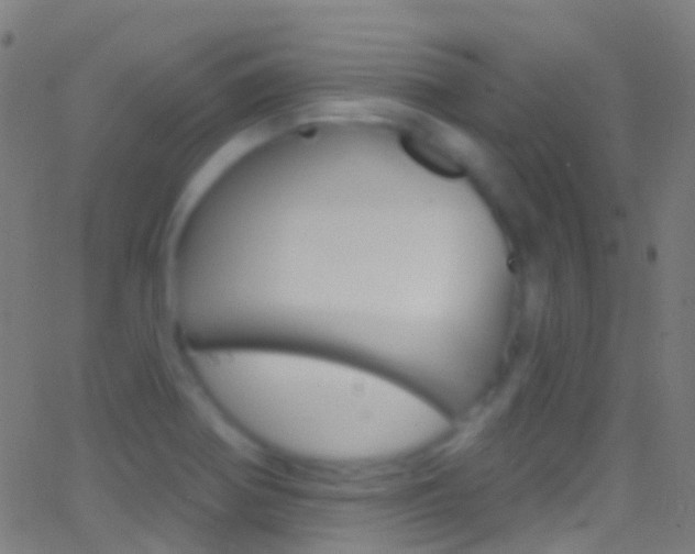 X0000062841370200601130929