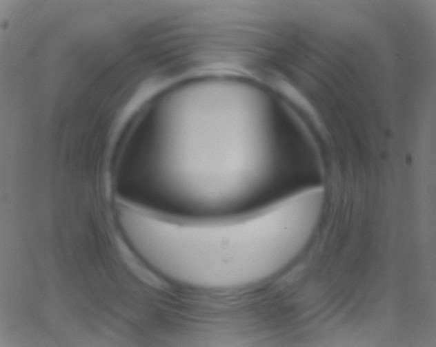 X0000062841372200601130929