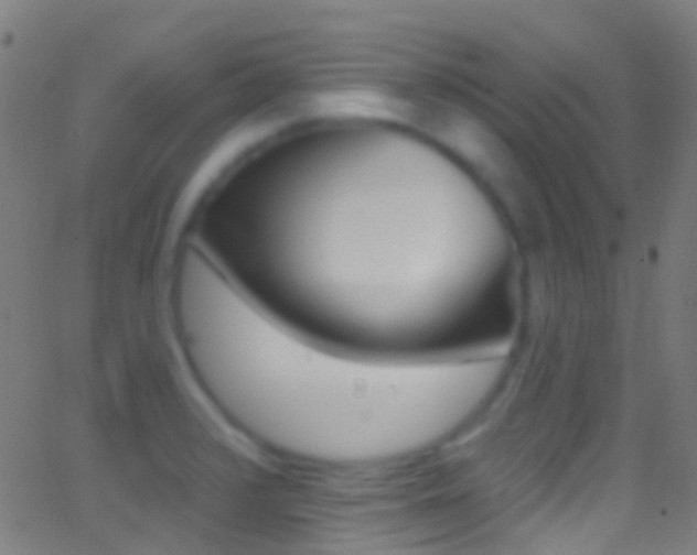 X0000062841376200601130929