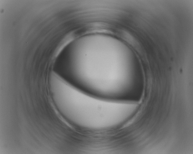 X0000062841377200601130929