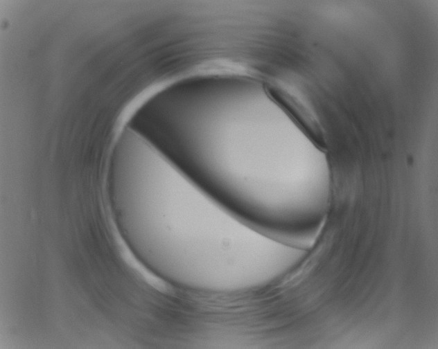 X0000062841387200601130929