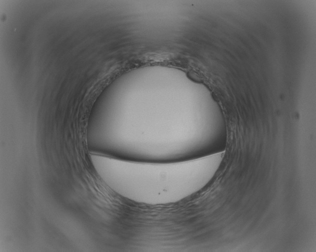 X0000062841393200601130928