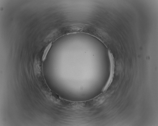 X0000062841394200601130928