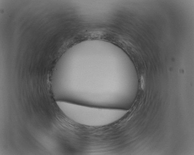 X0000062841395200601130928