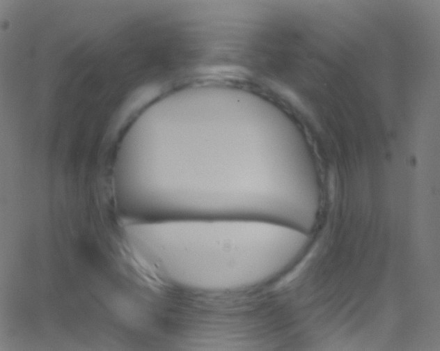X0000062841405200601130928